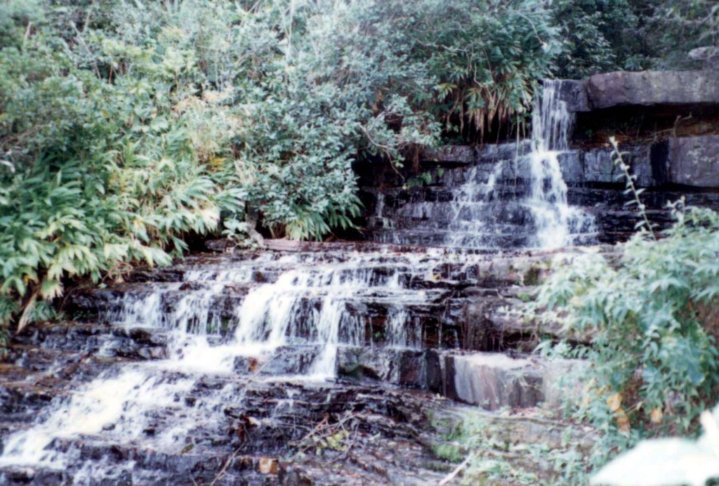 Cachoeira Ubajara